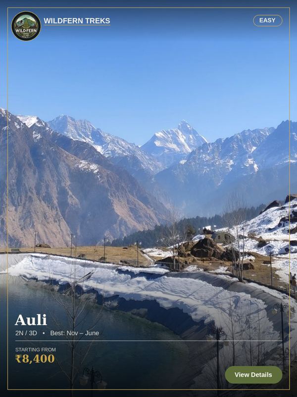 Auli