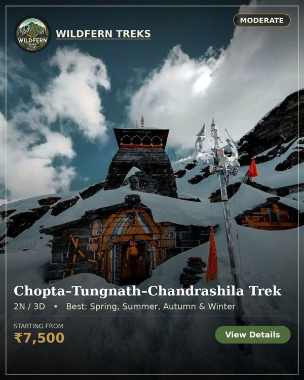 Chopta Tungnath Chandrashila Trek