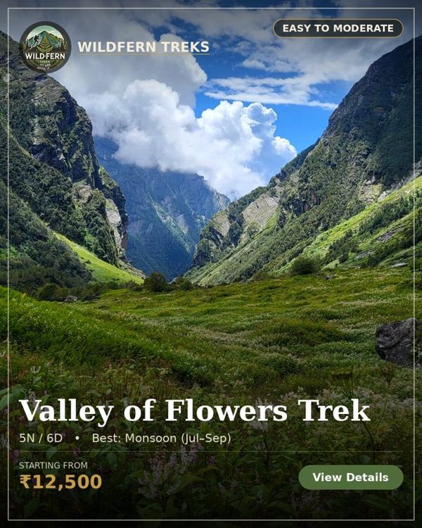 Valley of Flowers Trek